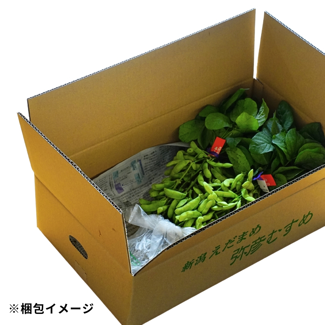 《先行予約》 初夏の香をお届けします。弥彦村産「弥彦むすめ」枝付き枝豆 2把(約1kg)