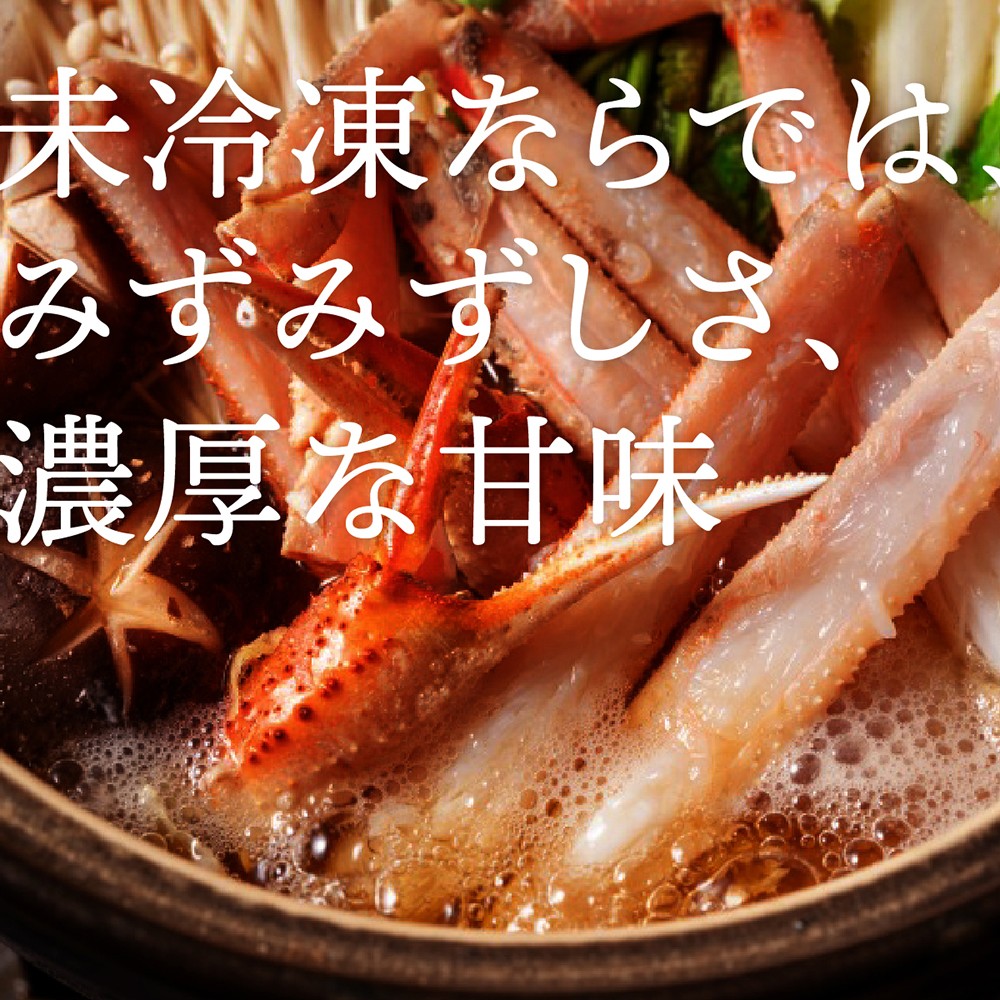 特撰　松葉がに（茹）【ブランドタグ付き】1kg超の大きいサイズ　食べ応えあり　特大1杯