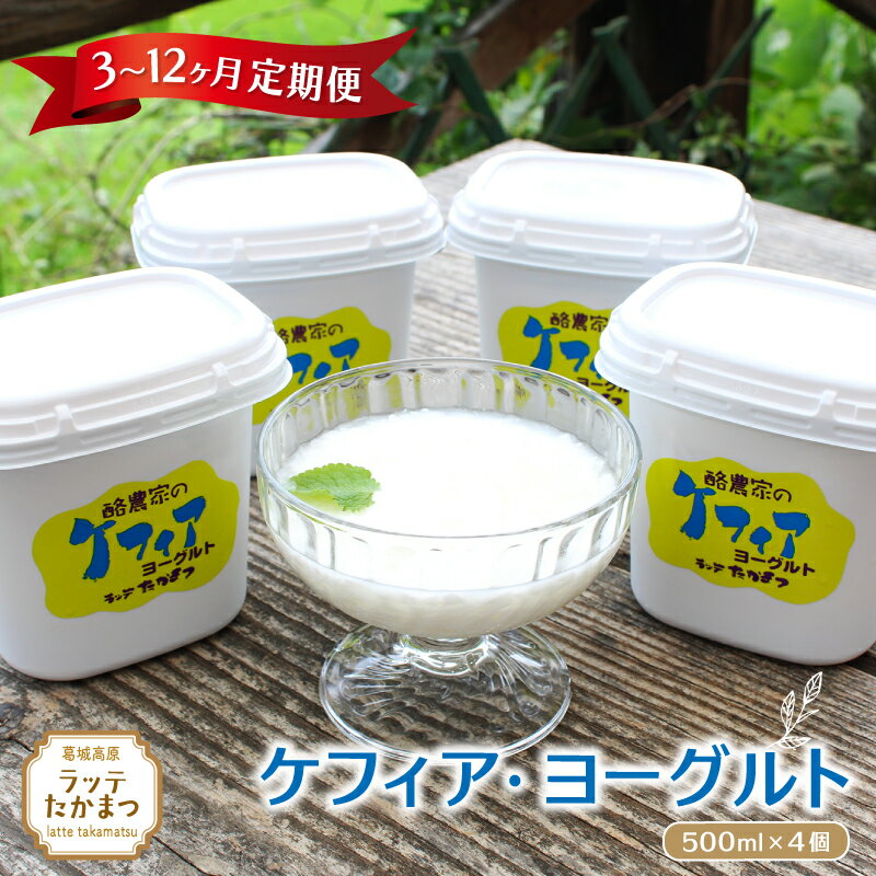 【ふるさと納税】【定期便】ケフィア・ヨーグルト500ml×4個 3ヵ月～12ヵ月／ 葛城 高原 牧場 ケフィア ヨーグルト【latt012-014】