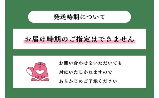 令和8年産 5kg 【3か月定期便】  雪蔵貯蔵米〈無洗米〉魚沼最上流域 南魚沼産 コシヒカリ 精米したてのお米をお届け 【湯沢産 コシヒカリ】