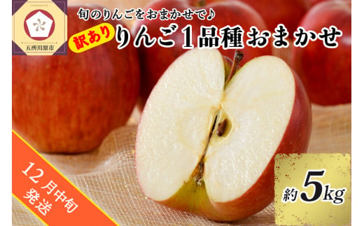 【2024年12月中旬発送】 【訳あり】 旬の美味しい りんご 約5kg 青森 産 【おまかせ1品種】