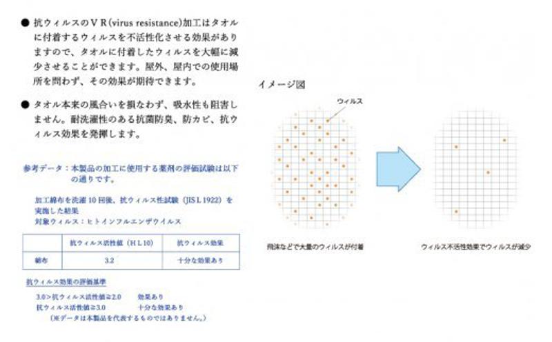 白タオル12枚（抗ウイルス加工）【泉州タオル 国産 吸水 普段使い シンプル 日用品】 010B278