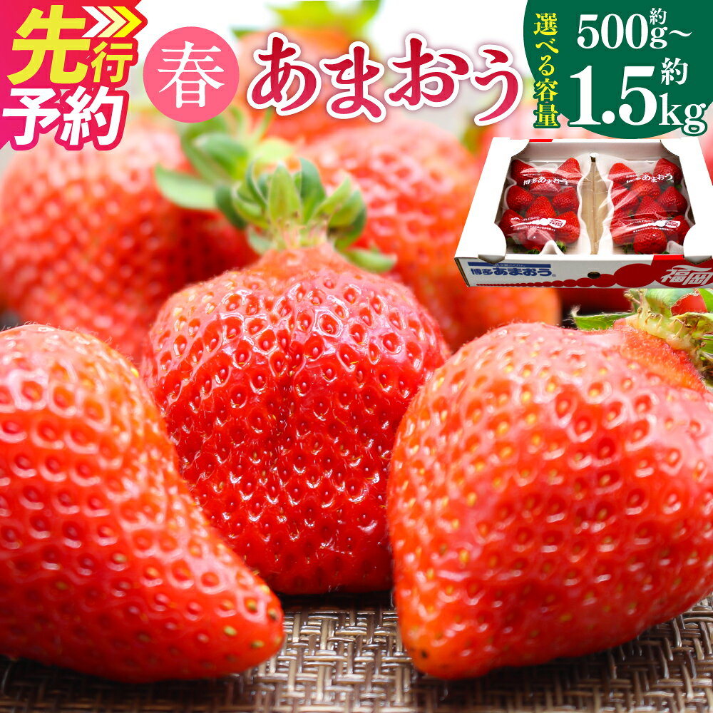 【ふるさと納税】博多あまおう(春)〈選べる〉約500g～1.5kg 2パック～6パック 1パック250g-270g あまおう いちご 苺 ストロベリー 果物 フルーツ 福岡県産 博多 福岡 青果 送料無料【2027年2月上旬-4月下旬発送予定】