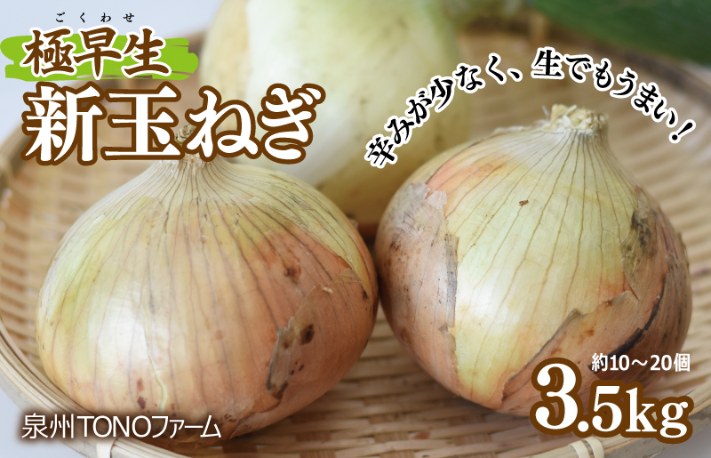 005A499 【先行予約】極早生 新たまねぎ 3.5kg【新鮮 野菜 泉佐野産 玉ねぎ 玉葱 やさい TONOファーム 数量限定】