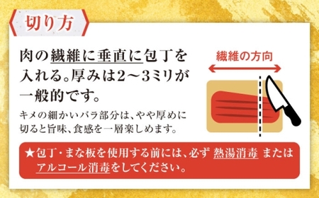 【全6回定期便】熊本肥育 馬刺し 赤身 約500g【肉のみやべ】[AYDM007]