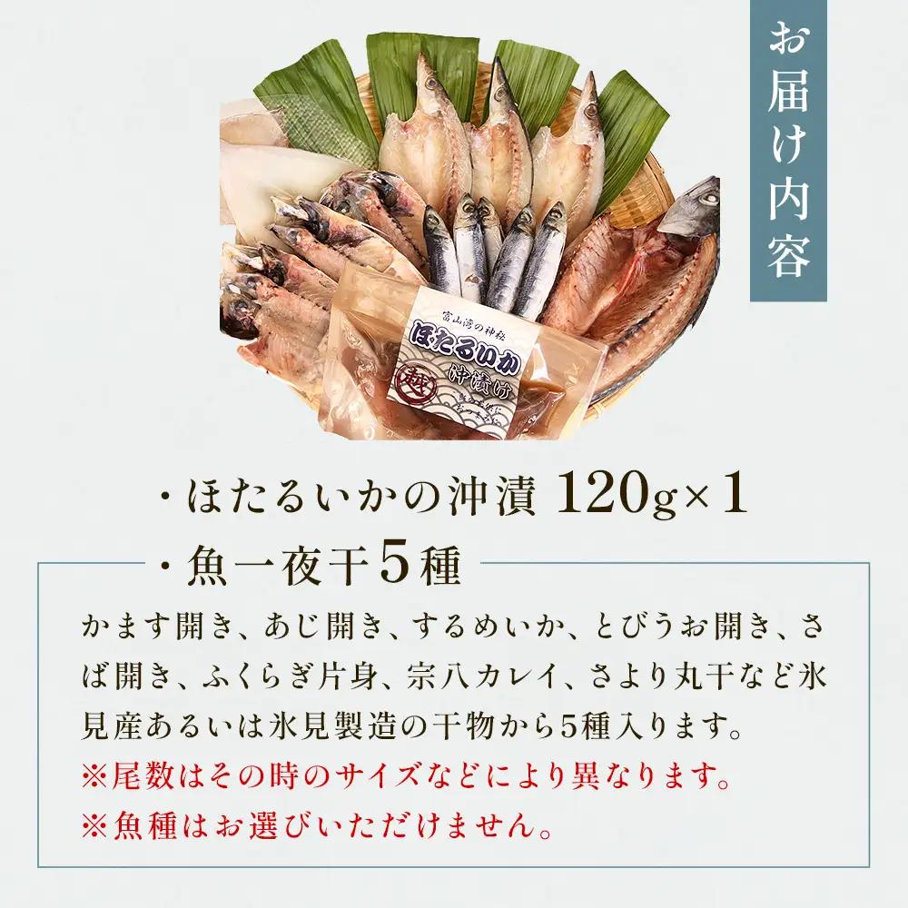 氷見 堀与 一夜干5種とほたるいかの沖漬 富山県 氷見市 干物 詰め合わせ 食べ比べ セット ホタルイカ