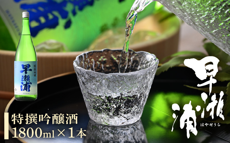 
                  早瀬浦 特撰吟醸酒 1800ml × 1本【入手困難 日本酒 就職祝い 転職祝い ハレの日 ギフト プレゼント お祝い お返し お礼 お中元 お歳暮 父の日 敬老の日】[m06-a016]
                