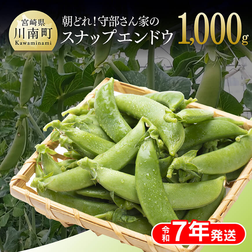 【令和7年発送】朝どれ！守部さん家のスナップエンドウ1.0kg　 野菜 枝豆 2024年発送[D06409]