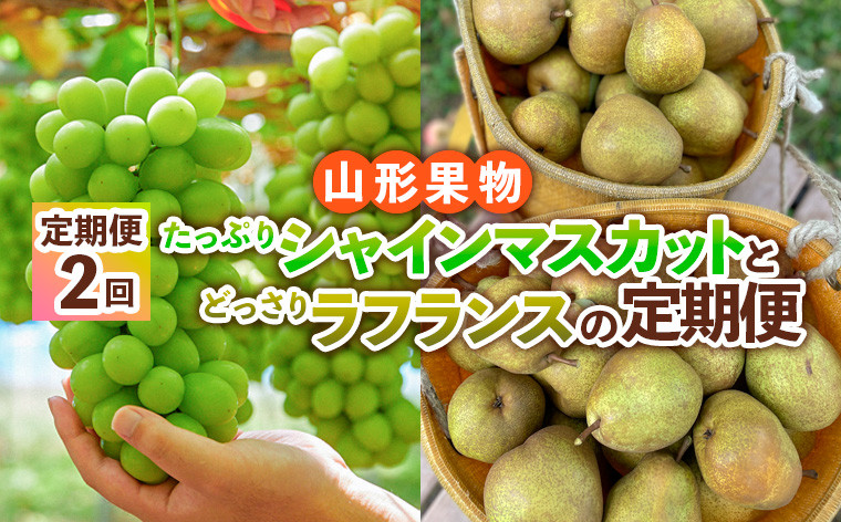 
            【定期便2回】山形果物 たっぷりシャインマスカットとどっさりラフランスの定期便 【令和7年産先行予約】FS24-767
          