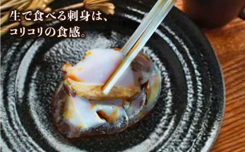 【到着日・受取時間指定必須】【配送エリア限定】【数量限定商品！】五島産養殖活きアワビ 1個あたり100g前後 中サイズ3個 あわび 鮑 五島市/（有）都工業 [PEX001]