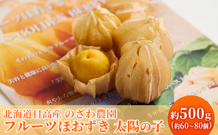【2026年発送 先行予約】【 のざわ農園 】 フルーツ ほおずき 「 太陽の子 」約500g 北海道 日高産 希少 ホオズキ