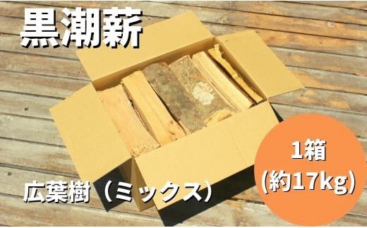 
            黒潮 薪 1箱 約17kg コース キャンプ 焚き火 焚火 薪ストーブ アウトドア バーベキュー BBQ 家庭用 広葉樹 ミックス 椎 樫 天然 ふるさと納税薪 ［1604］
          