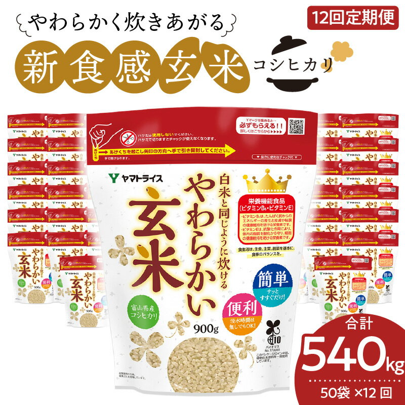 【ふるさと納税】玄米 定期便 12ヶ月 45kg（900g×50袋） 小分け 米 こめ コメ ごはん 栄養豊富 簡単 便利 美容 健康 新食感 もちもち 安心安全なヤマトライス 碧南市 送料無料