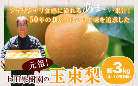 上田果樹園の元祖！玉東梨(旬の品種をお届けします)約3kg(4玉-10玉)  《7月下旬-9月下旬出荷頃》 熊本県玉名郡玉東町 ｜ブランド梨 人気梨 特産品梨 熊本県梨 玉東町梨 大人気返礼品