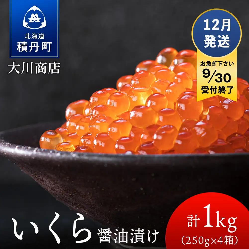 【9月30日受付終了】≪12月発送≫いくら醤油漬け250g4箱＜大川商店＞