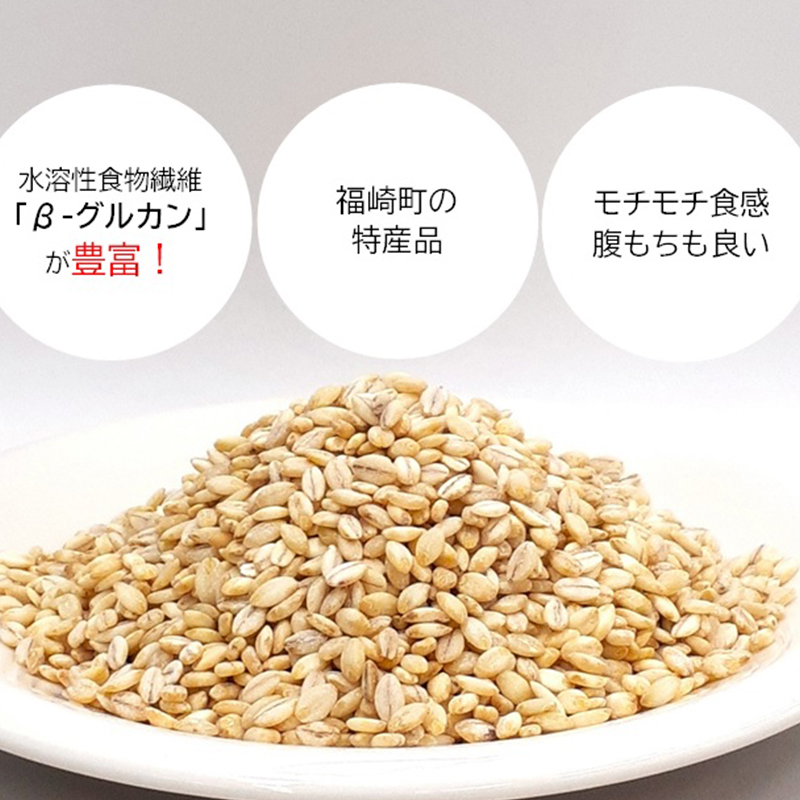 もち麦アイスクリーム 12個入 福崎町産もち麦使用 アイスクリーム もち麦