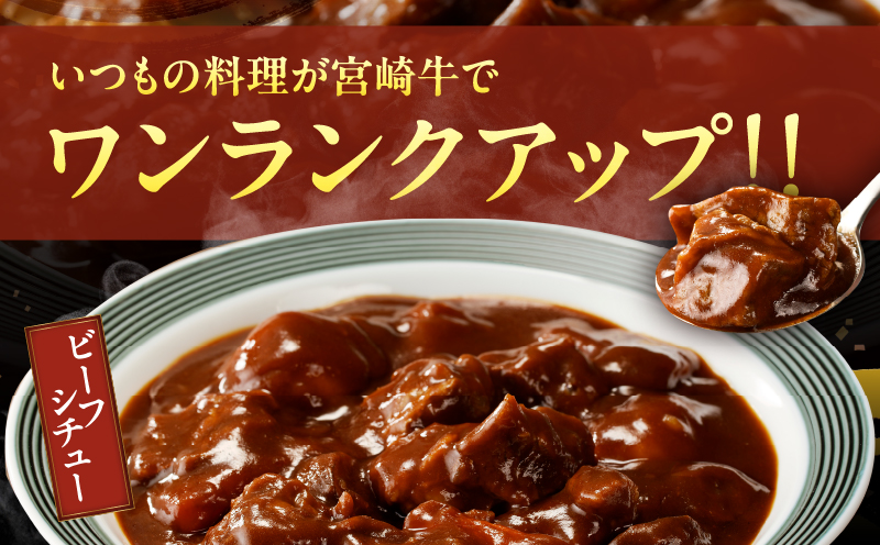 宮崎牛角切り肉(煮込み用)計1kg 肉 牛 牛肉 おかず 国産_T009-0292