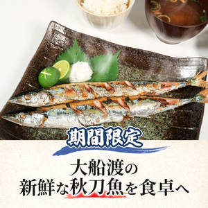 【期間限定】訳あり 鮮さんま 約2kg 冷蔵 20尾～25尾 秋刀魚 サンマ 生サンマ 