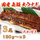 【ふるさと納税】国産うなぎ　備長炭地焼き蒲焼き180g以上×3尾　タレ付き×3 国産 鰻 ウナギ 土用の丑の日 グルメ 国内産 冷凍 タレ付き 送料無料 プレゼント 贈り物 ギフト