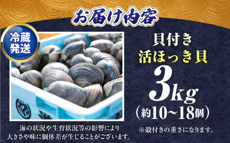 【2026年7月中旬以降順次発送再開】活ほっき貝 3kg 約10～18個  ホッキ 冷蔵発送 [AXAL003]