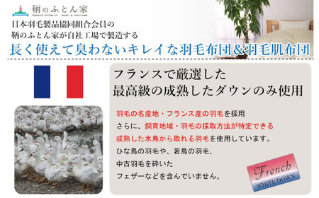 【ピンク系】羽毛布団 超軽量 柄任せ 綿100% 羽毛布団 シングル 掛け布団 羽毛布団 羽毛 日本製 冬 毛布 保温 あったかい 抗菌 防臭 広島県福山市/株式会社ハシモト[BACV017]