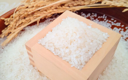 【全6回定期便】夢しずく 白米 10kg（5kg×2袋） / お米 ふるさと納税 送料無料 / 佐賀県 / 大塚米穀店[41ANAD028]