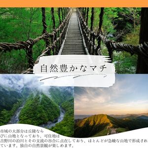 ブルーベリー 狩り 体験 チケット2枚 食事券 3000円 祖谷かずら橋 観光 【 観光 】