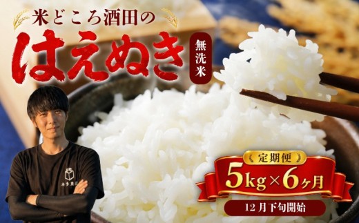 12月下旬発送開始／【6回定期便】令和8年産 ［無洗米］はえぬき　5kg×6回(計30kg) 農家直送 HO SG0124