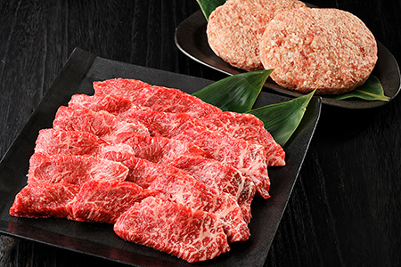 北海道　和牛肉　5・4等級　定期便　5回　サーロイン　ミスジ　ステーキ　モモ肉　冷凍ハンバーグ｜十勝ナイタイ和牛定期便　5ヵ月コース　［105-TN60］　※オンライン申請対応