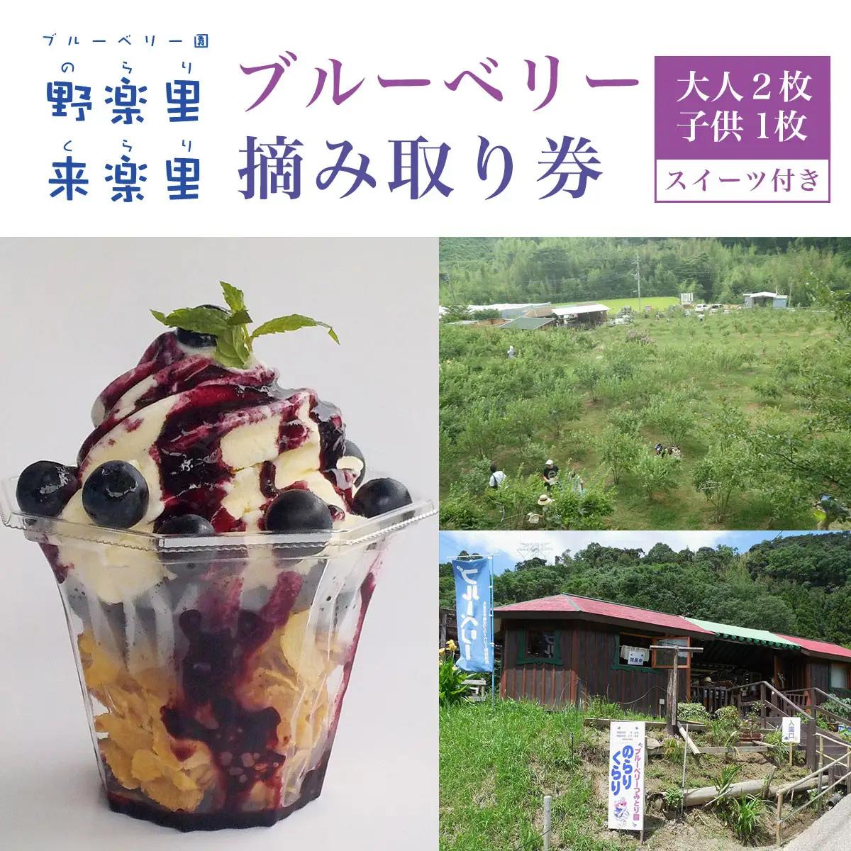 【先行予約】ブルーベリー園のらりくらり摘み取り券（大人２枚・子供１枚）スイーツ（１名様分） KCA005