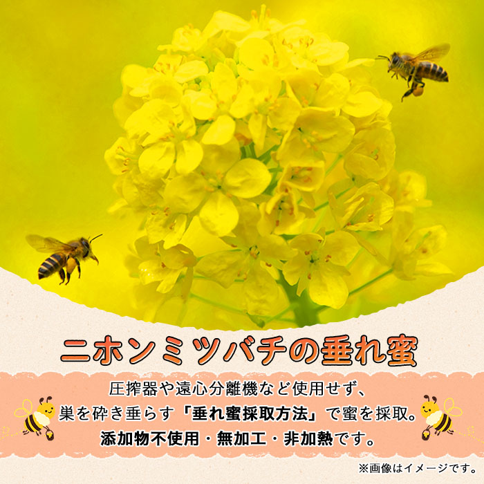 n271 ＜数量限定＞南国種子島産！日本みつばちのはちみつ(180g)【ひさちゃん養蜂園】