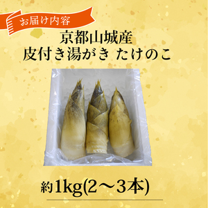 【先行予約】京都山城産たけのこ 皮付き湯がき済み 約1kg(2～3本)  2026年4月発送 たけのこ