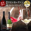 【ふるさと納税】 ≪数量限定≫ 都農ワインセレクト 赤・スパークリング 2本 セット 酒 飲料 アルコール 国産 ワイン 果実酒 飲み比べ おすすめ 家飲み 晩酌 パーティー ご褒美 記念日 お祝い ギフト 贈答 贈り物 プレゼント 常温 宮崎県 都農町 送料無料