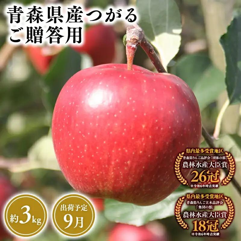 りんご 贈答用 つがる3kg 【hi-0053-008】
