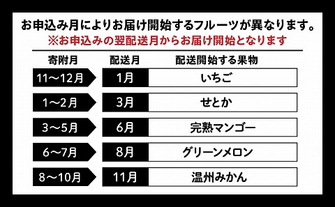 「人気くだもの定期便」全5回 果物 くだもの フルーツ 定期便 全5回  いちご せとか マンゴー メロン みかん フルーツ 旬 旬の果物 旬のフルーツ 季節の果物 季節のフルーツ 旬 お取り寄せ 果