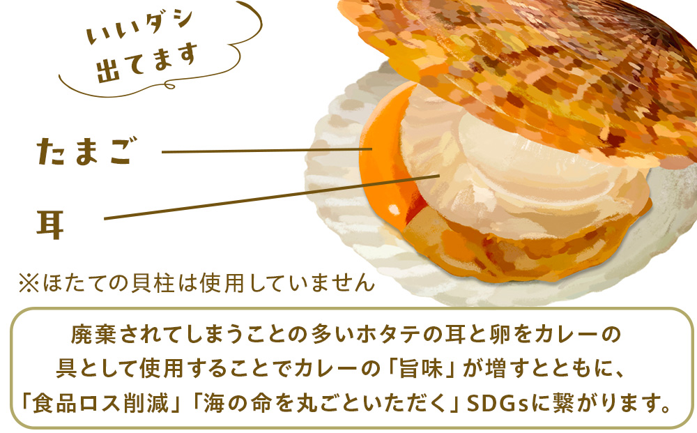 ホタテの卵とミミのはまとんカレー（中辛）10箱