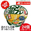 【ふるさと納税】 【 定期便 12カ月 】日清 北のどん兵衛 きつねうどん [ 北海道 仕様]24個 きつね うどん カップ麺 即席めん 即席麺 どん兵衛 千歳 ケースうどん 即席麺 麺類 カップ麺 カップうどん インスタント 麺類 【北海道千歳市】ギフト ふるさと納税