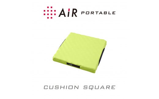 
            【nishikawa/西川】[エアーポータブル]クッション／スクエア（イエロー）【P220W】
          
