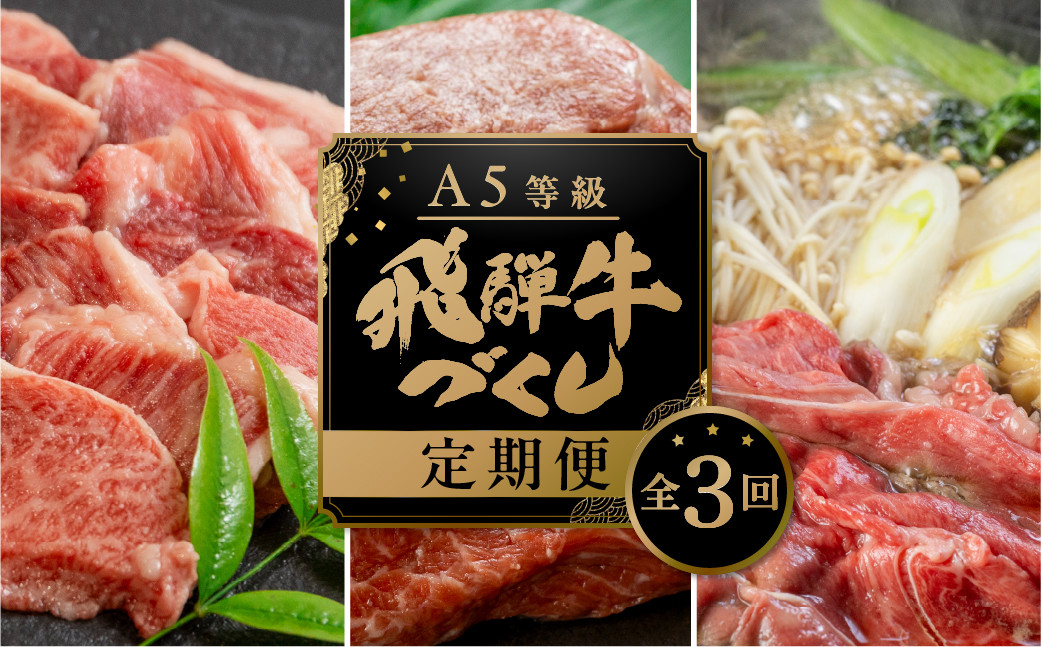 
            【定期便】A5 飛騨牛 3回 定期便 計 1.5kg 3ヶ月 食べ比べ A5等級 5等級 a5 牛肉 肉 和牛 国産牛 黒毛和牛 焼肉 すき焼き しゃぶしゃぶ ステーキ 赤身 霜降り お楽しみ トキノ屋食品  本巣市 [mt667] 
          