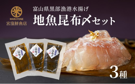 
                  黒部漁港 〈地魚昆布〆3種セット〉 産地直送 旬 魚介 魚 さかな 詰め合わせ 冷凍　/富山県黒部市 
                