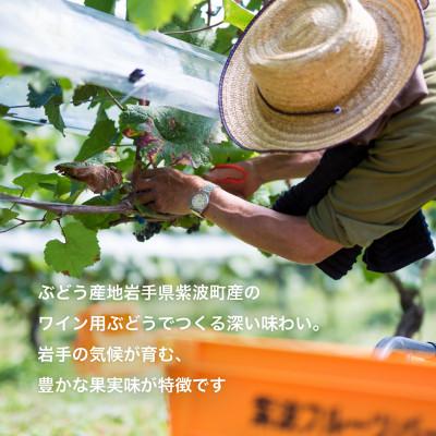 ふるさと納税 岩手県 自園自醸ワイン紫波 プレミアムワイン2本セット |  | 01