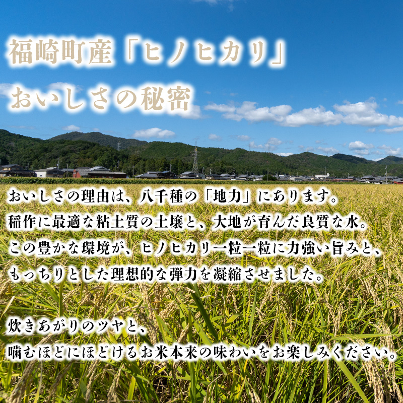 【精米】 【新米予約】令和8年産 ヒノヒカリ 八千種米 お米 5kg ごはん 兵庫県産 世界かんがい施設遺産登録『西光寺野疏水路』 5kg