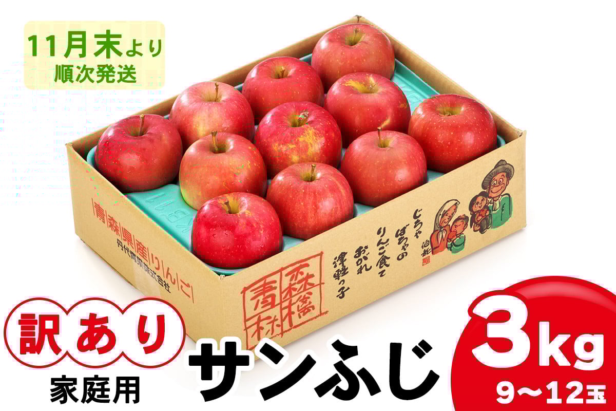
            家庭用りんご サンふじ 3kg (9玉から12玉入り 3kg 1箱)  見た目にわけあり 味はそのまま｜令和7年産 2025年産 青森 津軽 つがる りんご リンゴ サンフジ 訳あり 訳アリ 果物 旬 青森りんご [0838]
          