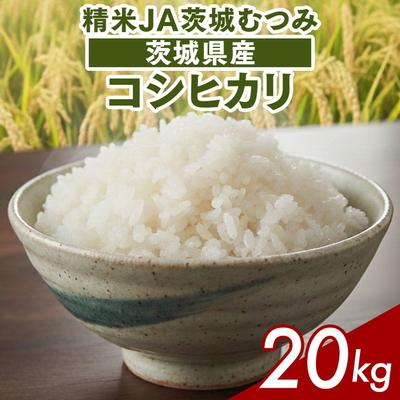ふるさと納税 古河市 【令和7年産】茨城県産コシヒカリ20kg(10kg×2袋)精米JA茨城むつみ _CL06