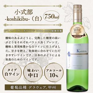 丹波ワイントライアル 6本セット（国産ワイン 国内醸造 日本ワイン 赤ワイン 白ワイン 酸化防止剤無添加発泡ワイン ワインセット ミディアムボディ フルボディ 中口 辛口 ギフト 贈り物 贈答 プレゼ