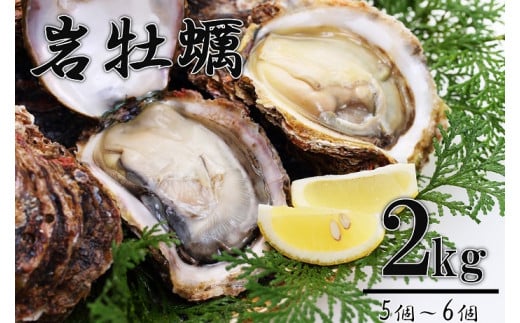 岩牡蠣 岩カキ かき カキ 海のミルク 濃厚 クリーミー 夏バテ防止 2kg 冷蔵 生 加熱用