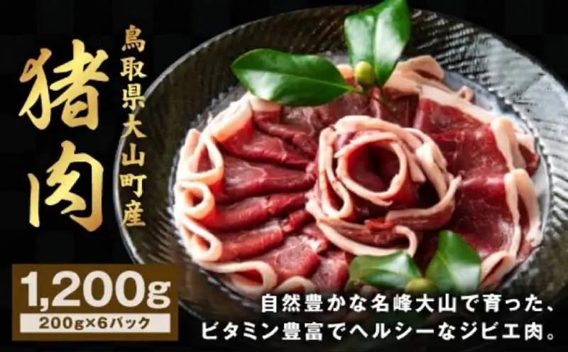 GB-03　猪肉モモ 1.2kg