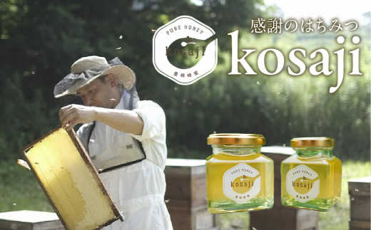 豊橋蜂蜜【kosaji】春はちみつ150g＋100ｇ 瓶入り ギフトセット 贈答 プレゼント お歳暮 お中元 おススメ おすすめ 高級 貴重 希少 蜂蜜 はちみつ 国産 常温 はちみつ ハチミツ 蜂蜜 ハニー 愛知県 豊橋市