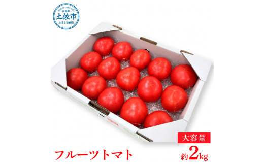 【先行予約】旬の濃旨フルーツトマト 約2kg  / 糖度8～10度 大小混合 詰め合わせ フルーツトマト ふるーつとまと とまと トマト 甘い 濃厚 美味しい 箱詰め【池トマト】[BQAG023]