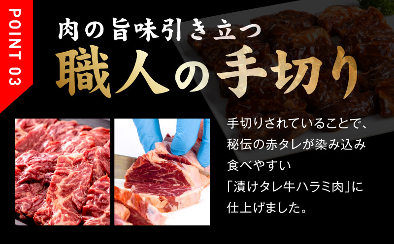 【定期便】牛ハラミ肉 900g×全6回【小分け 300g×3P 秘伝の赤タレ 味付き 焼肉 訳あり サイズ不揃い 毎月配送コース】 099Z523_イメージ4
